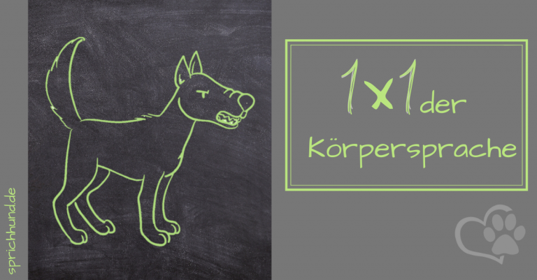 1×1 DER KÖRPERSPRACHE – Sprich Hund!