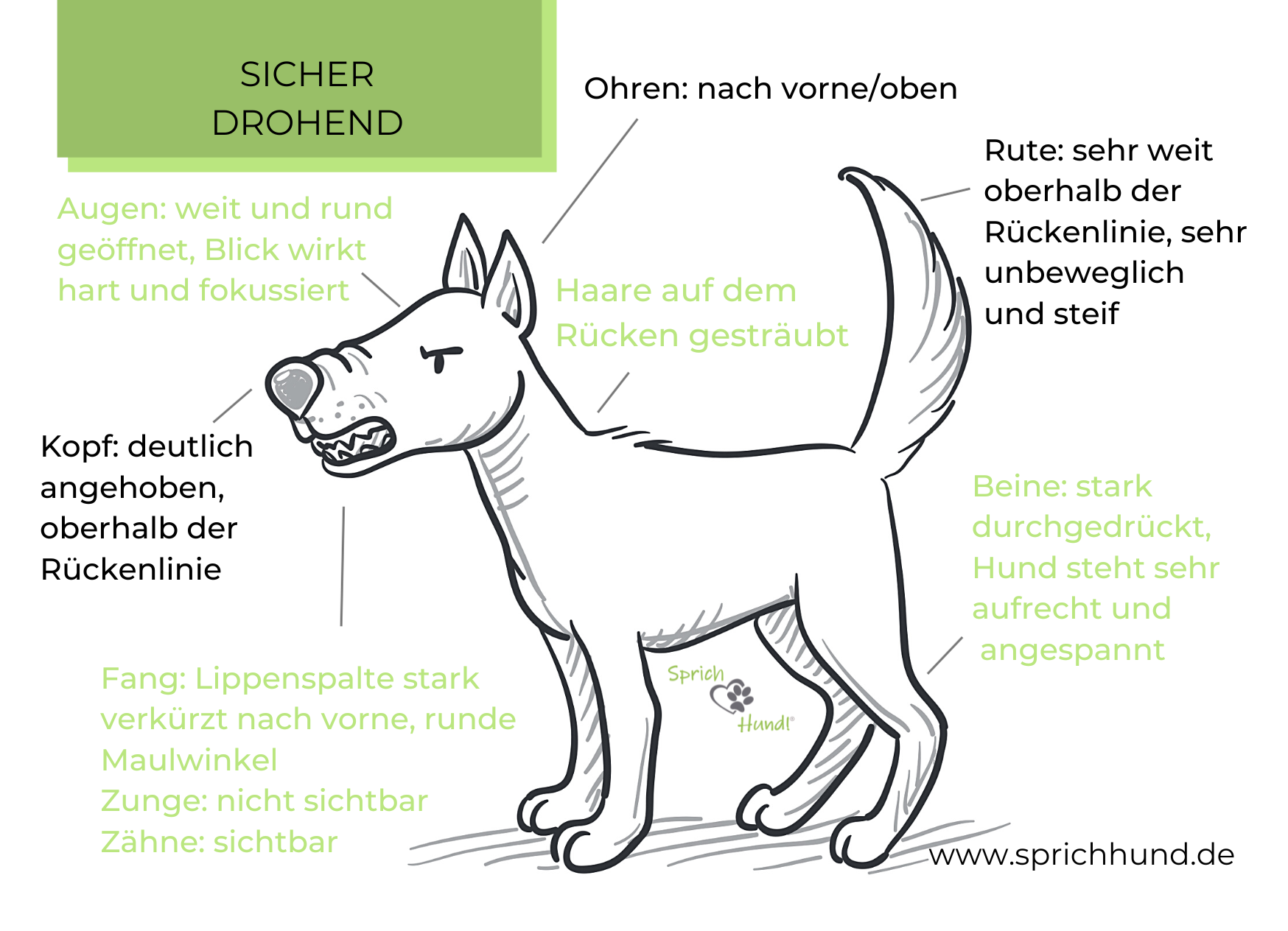 sicher-drohend