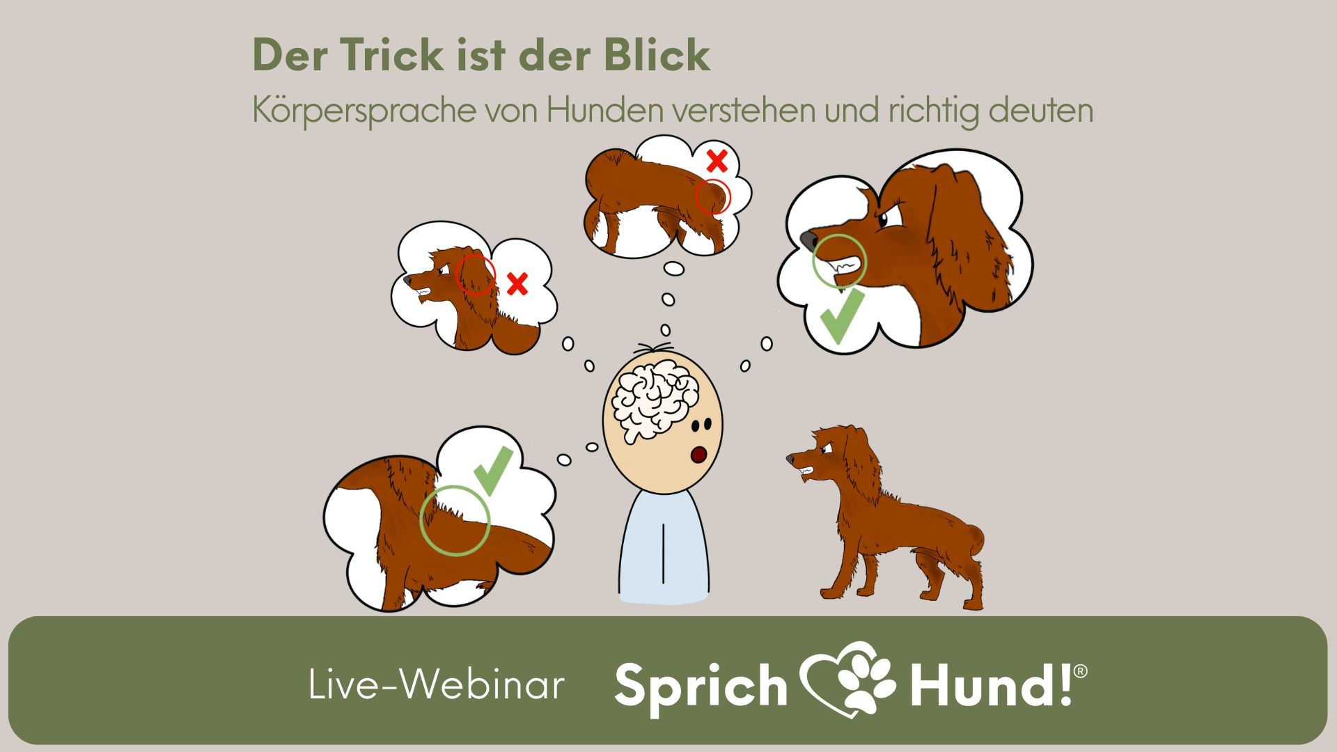 Körpersprache von Hunden verstehen und analysieren Webinar