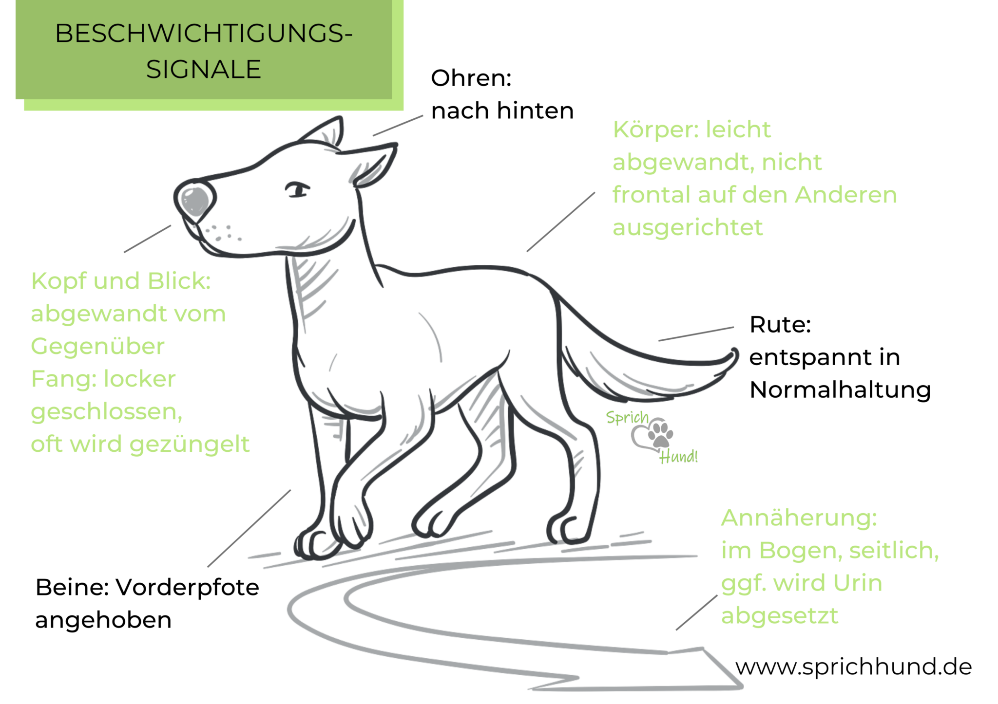 BESCHWICHTIGUNGSSIGNALE Sprich Hund!