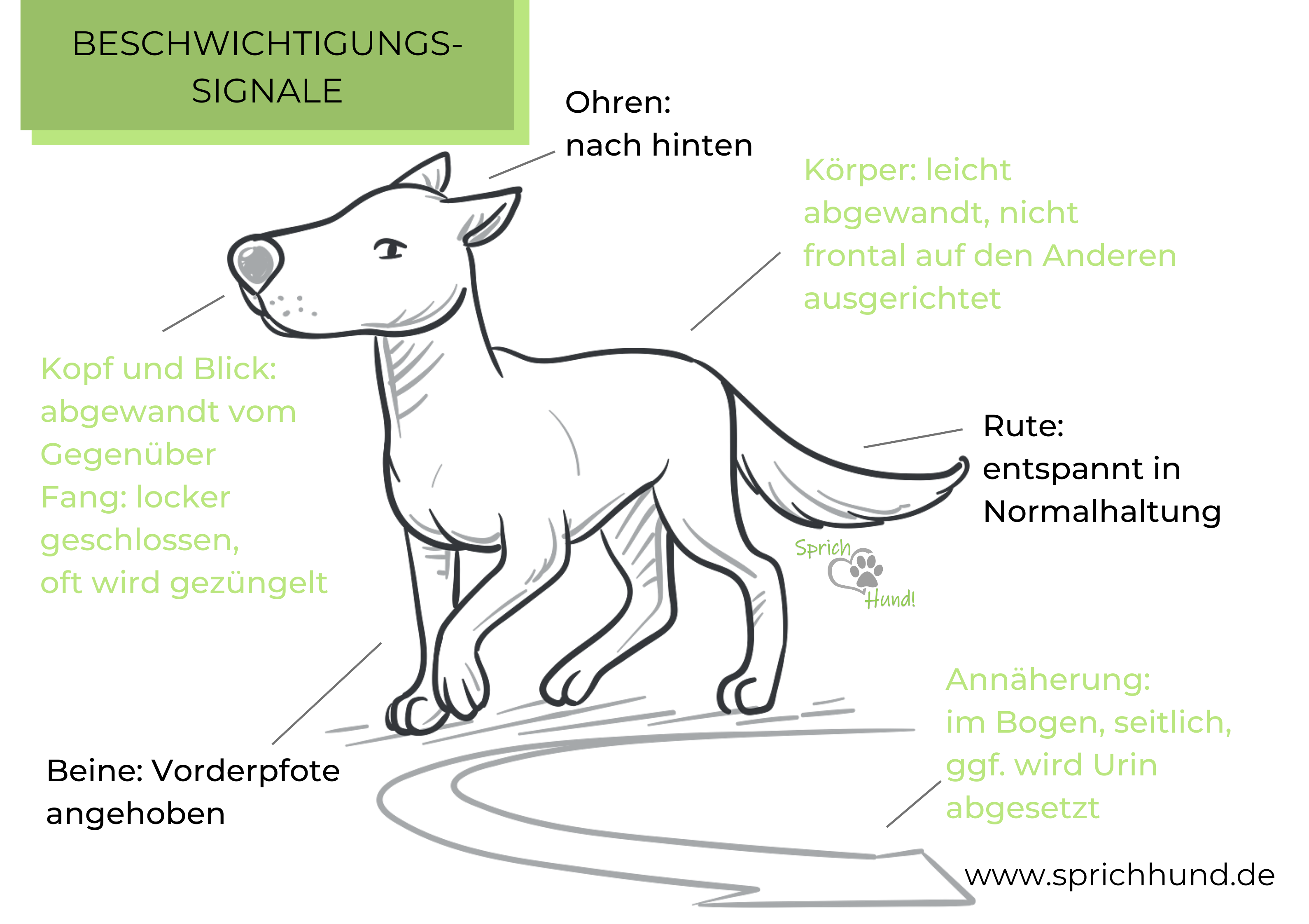 wie befriedigen sich hunde selber Monogamie main image 1