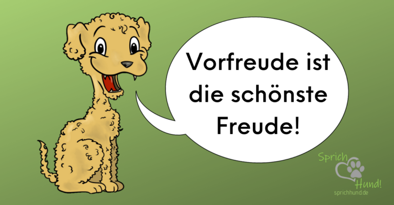 VORFREUDE IST DIE SCHÖNSTE FREUDE Sprich Hund!