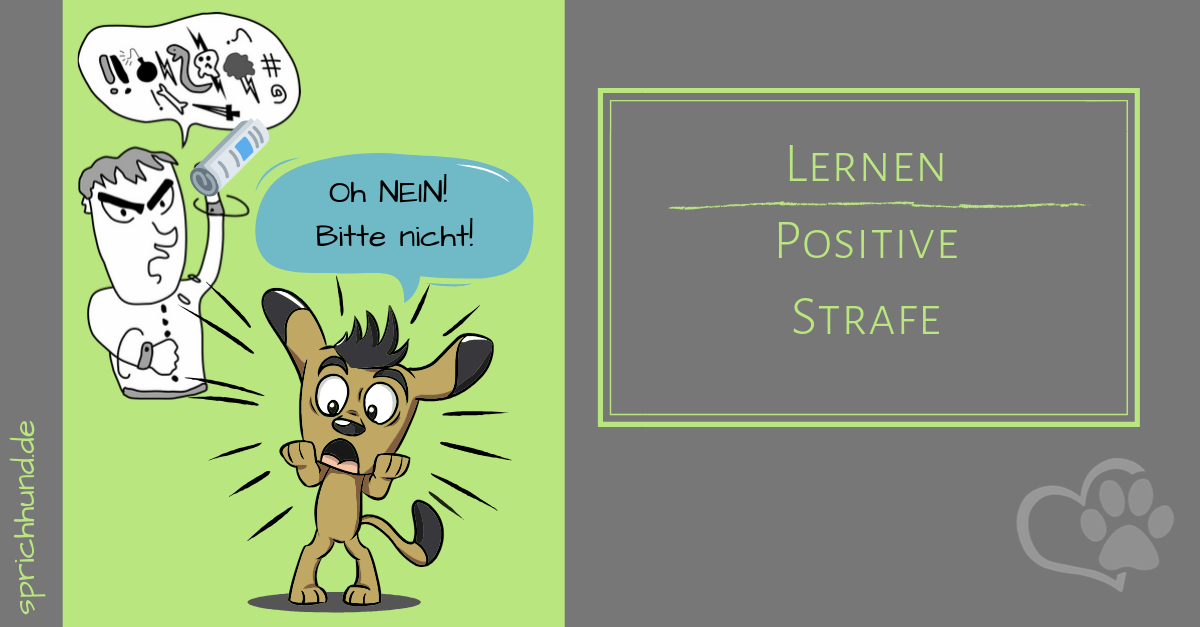 POSITIVE STRAFE Sprich Hund!