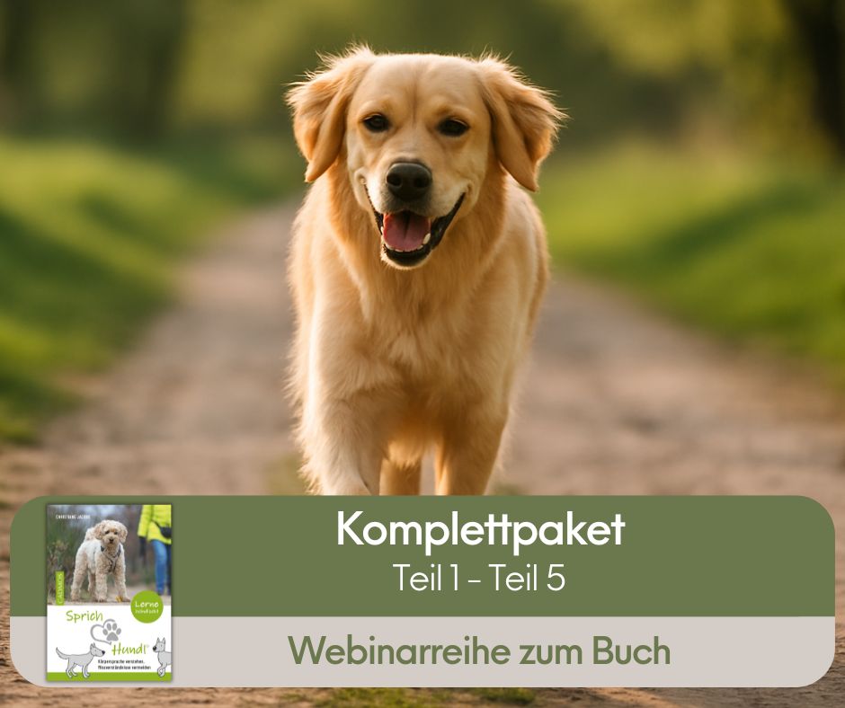 Sprich Hund Webinarreihe buchen Komplettpaket alle 5 Teile