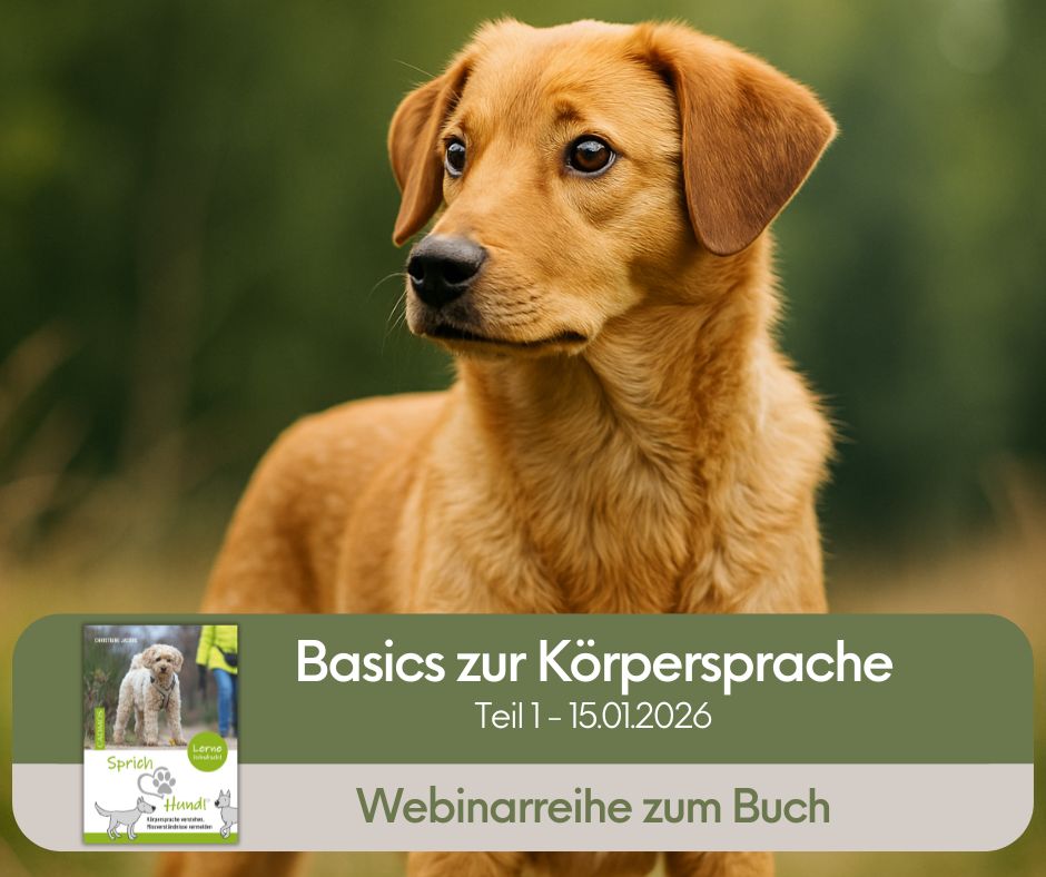Sprich Hund Webinarreihe buchen Teil 1 Basics der Körpersprache
