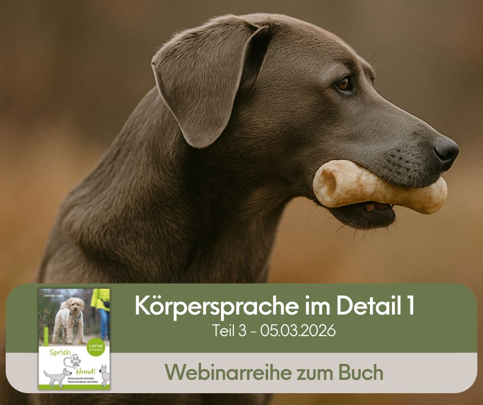 Sprich Hund Webinarreihe buchen Teil 3 Hundebegegnungen sicher meistern