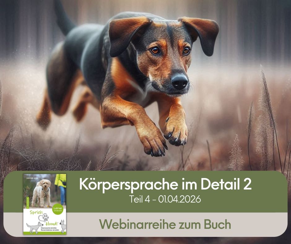 Sprich Hund Webinarreihe buchen Teil 4 Körpersprache im Alltag verstehen