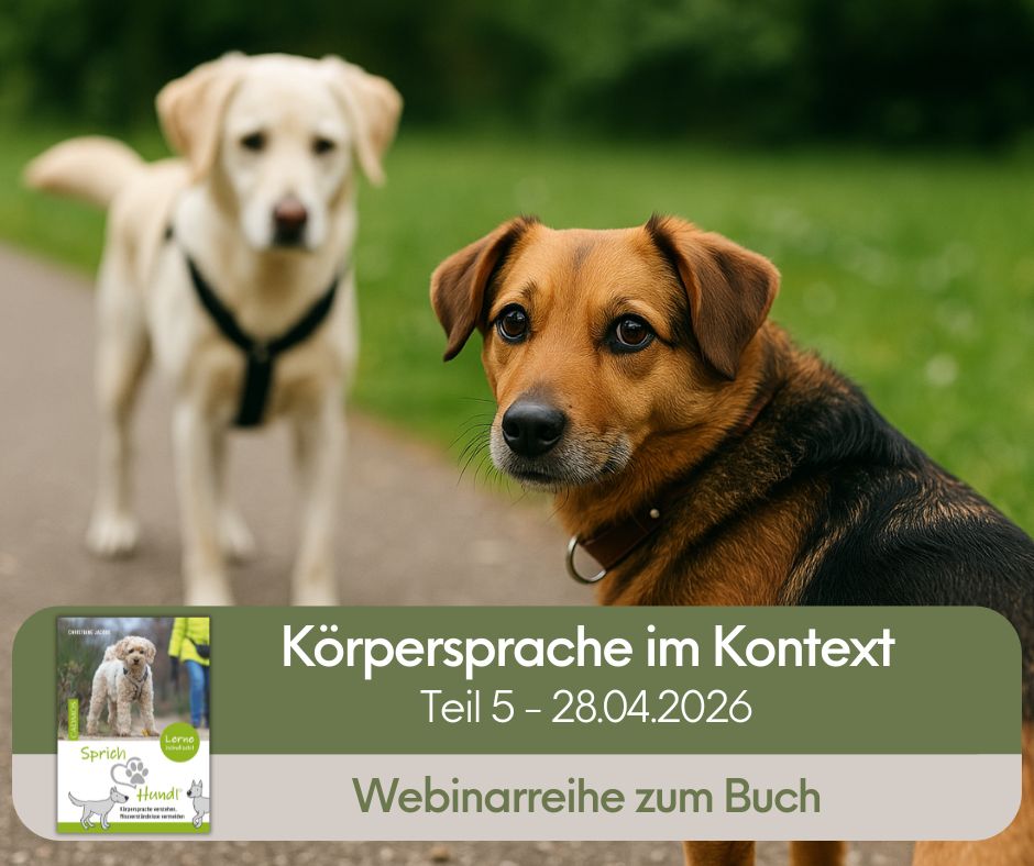 Sprich Hund Webinarreihe buchen Teil 5 Kommunikation vertiefen