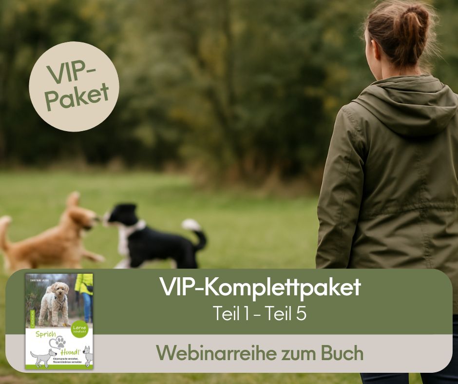 Sprich Hund Webinarreihe buchen VIP-Paket mit Extra Coaching