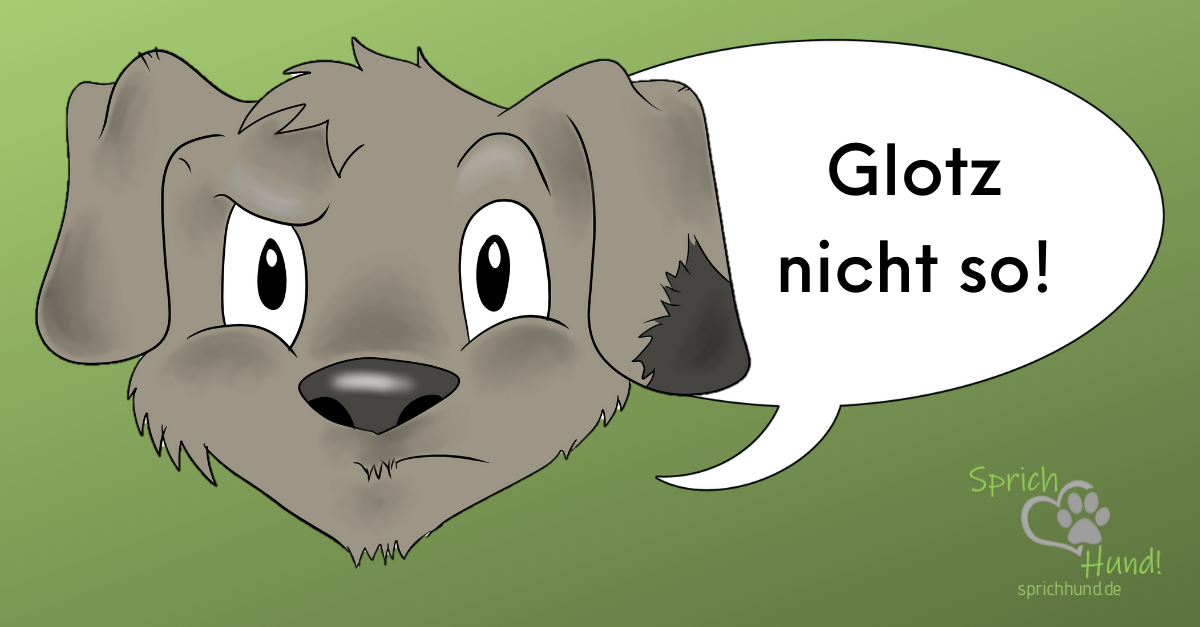 GLOTZ NICHT SO! Sprich Hund!