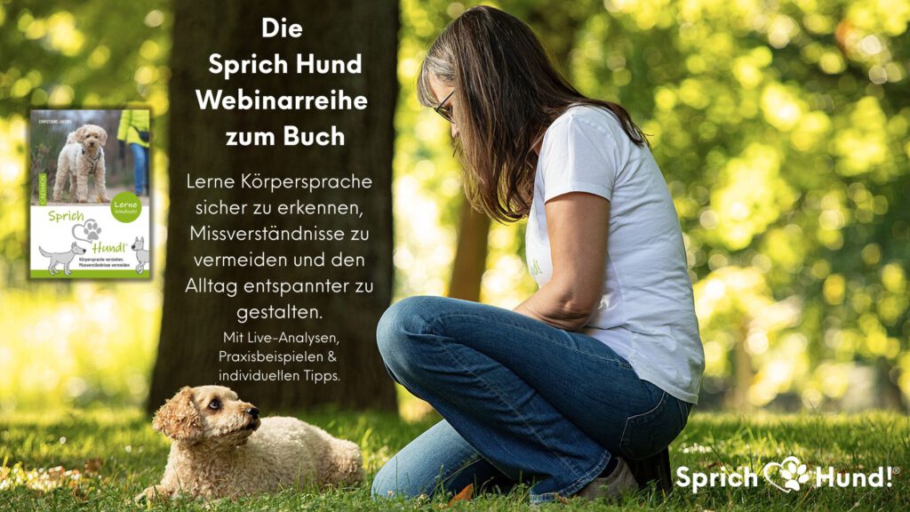 Sprich Hund Webinar – Körpersprache deines Hundes verstehen und im Alltag anwenden