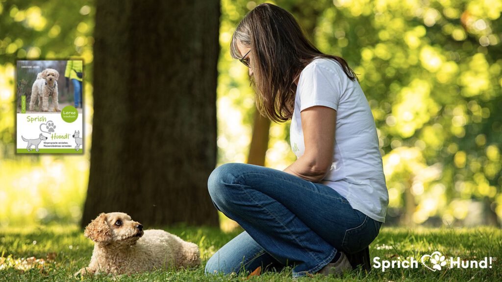 sprich-hund-webinar-koerpersprache-hund-verstehen
